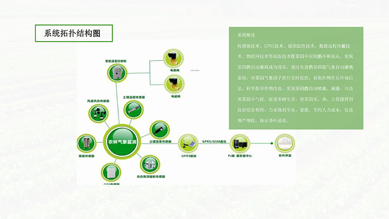 AIOTAGRO茶园物联网解决方案